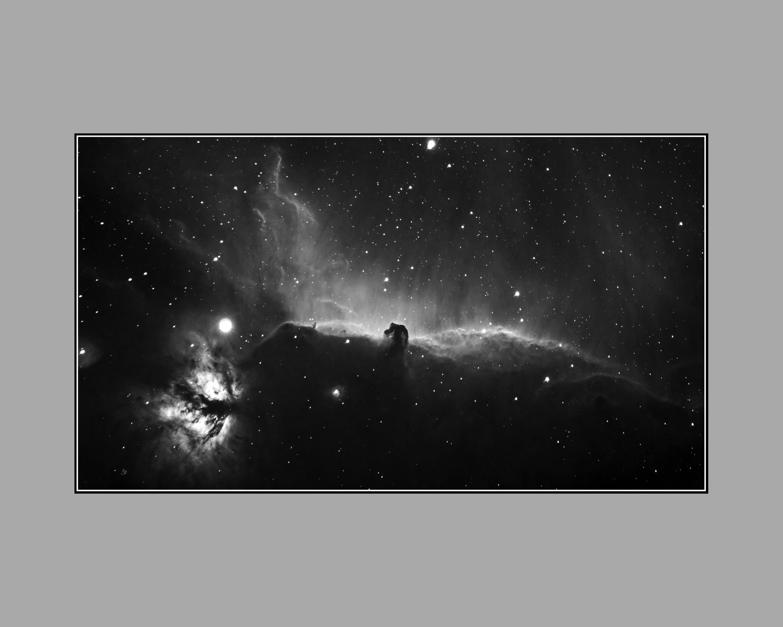 HorseHead_Monochrome