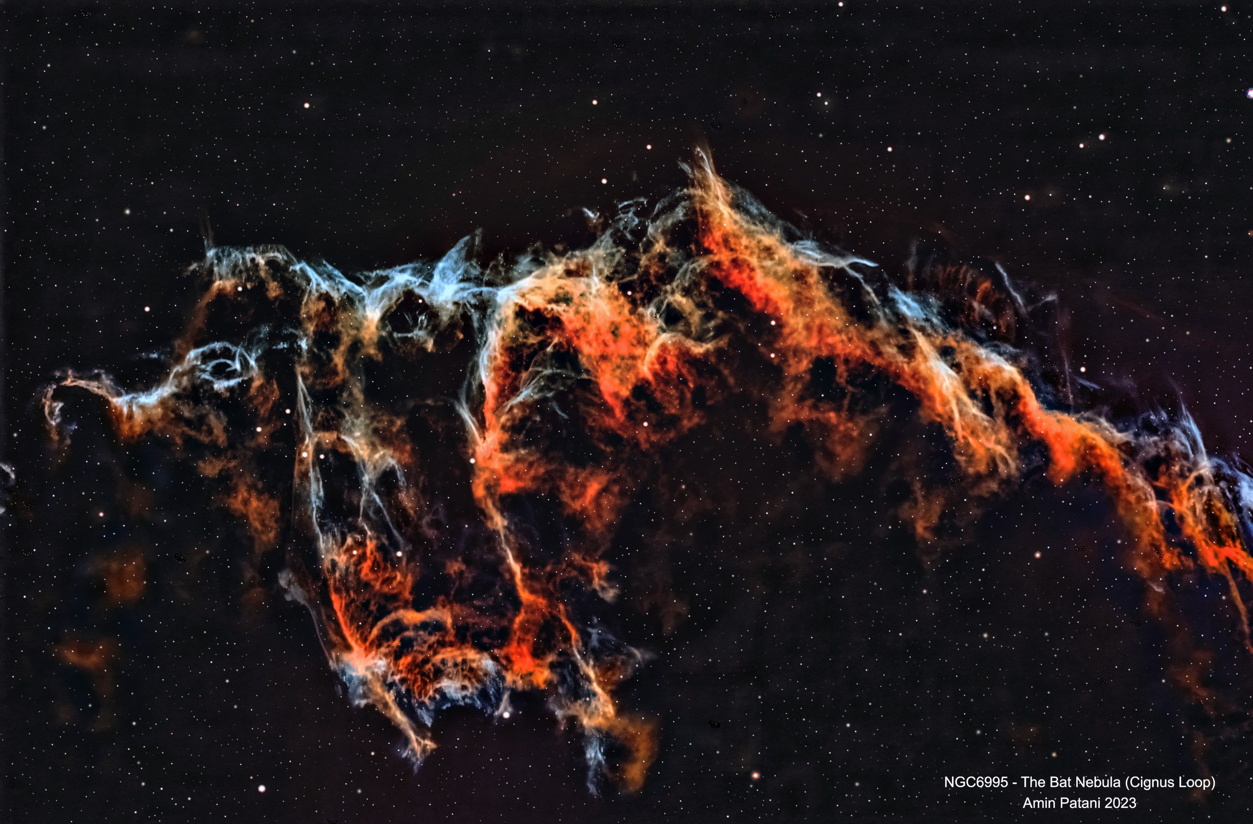NGC6995 - The Bat Nebula