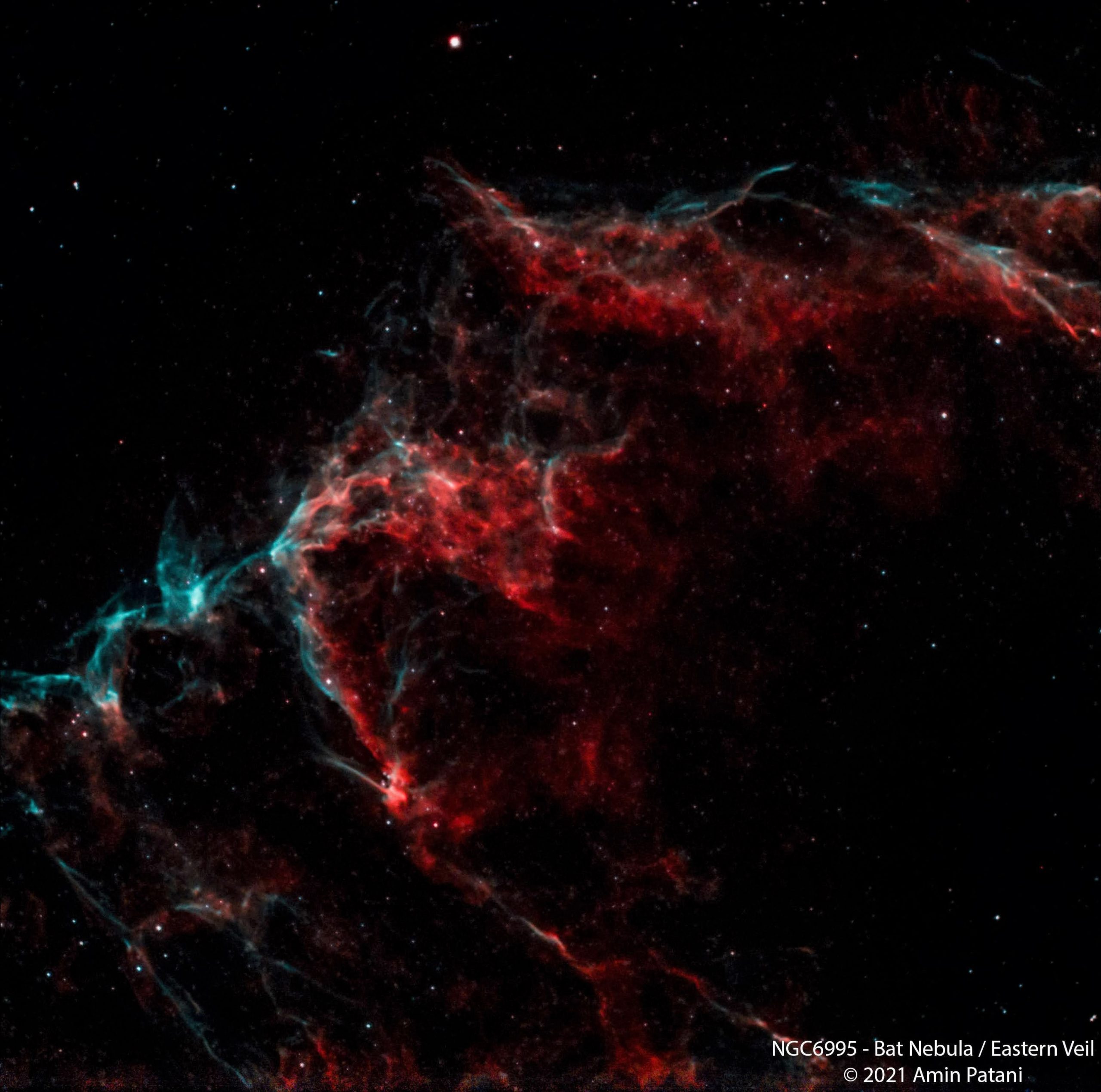 NGC6995_BatNebula_EasternVeil_Cygnus
