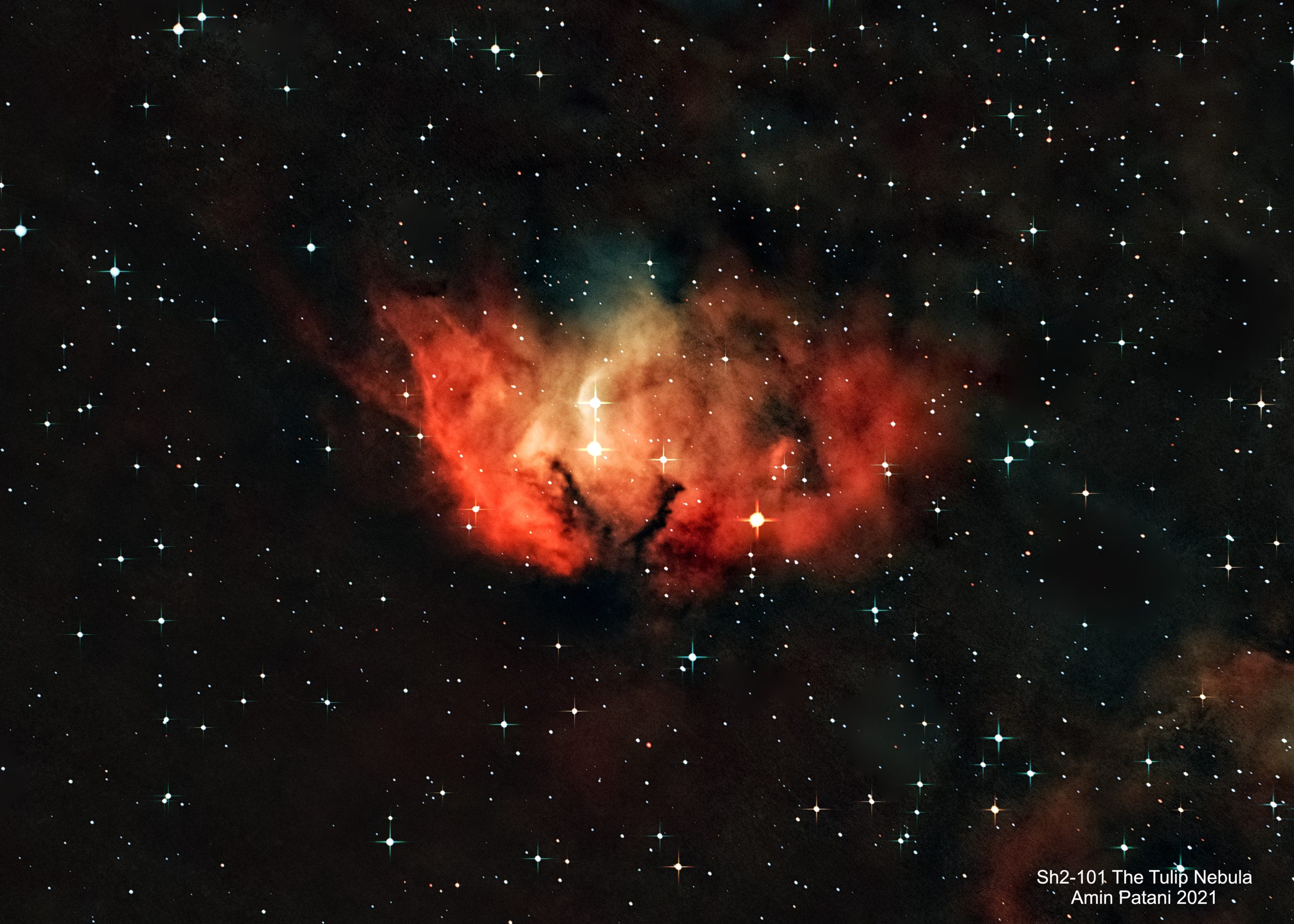 Sh2-102 - Tulip Nebula