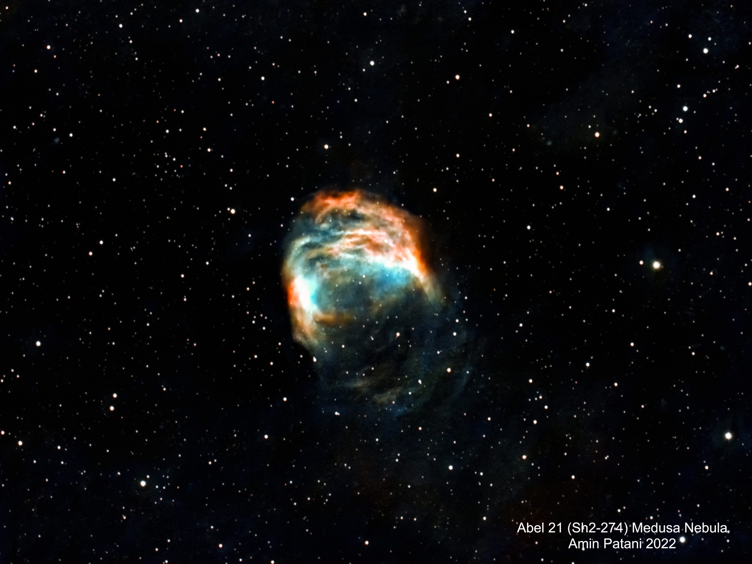Abel 21 (Sh2-274) Medusa Nebula