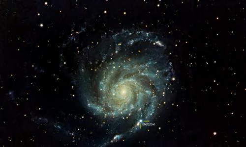 cropped-Amin_Patani_Pinwheel_Galaxy_And_Supernova_SN2023ixf.jpg